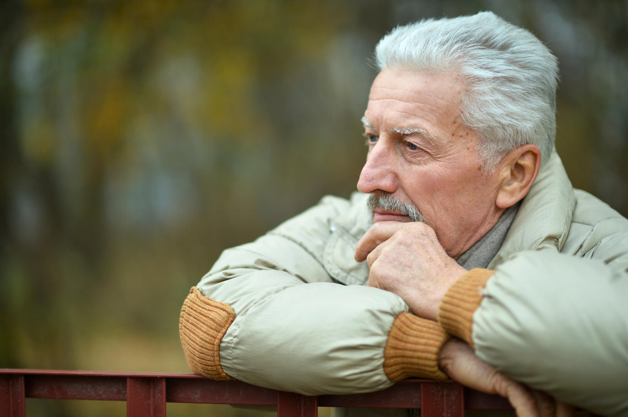 Dementia vs. Depression Understanding the Difference in Seniors